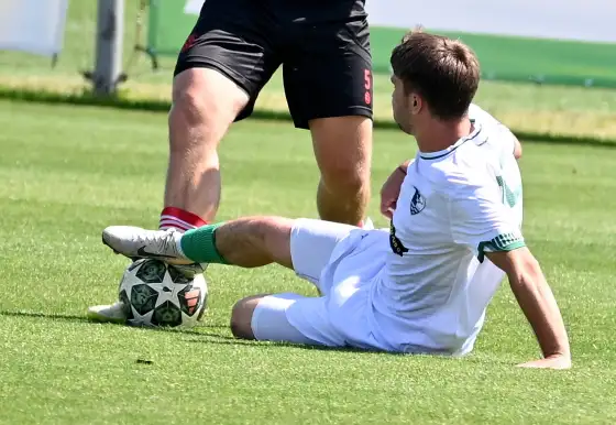Dorosty se loučily dvěma výhrami v Přešticích