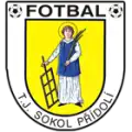 TJ Sokol Přídolí