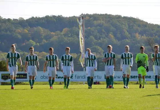 Starší dorost: Malše Roudné - TJ Přeštice 3:3