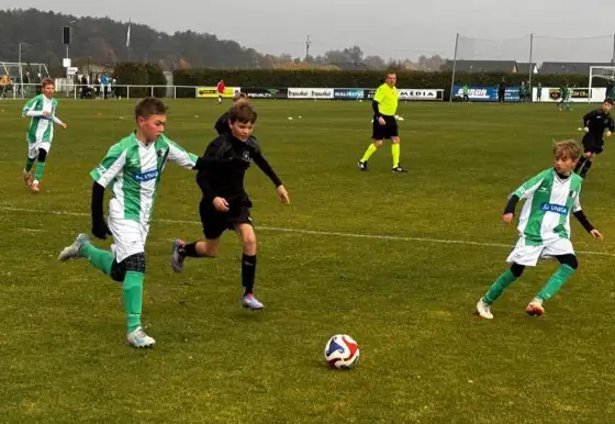 Žáci se ve čtyřech zápasech střetli s Rokycany