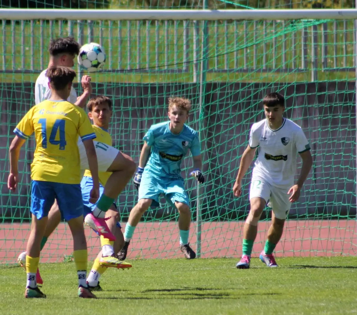 Dorosty v Praze podlehly Aritmě. Tým U19 našel přemožitele po devíti měsících