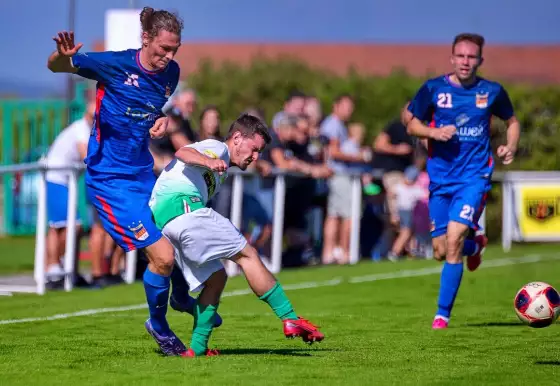 Malše Roudné - SK Planá 3:1