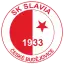 SK Slavia ČB