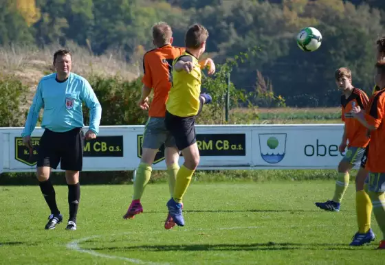 Mladší dorost: Malše Roudné - TJ Přeštice 2:3